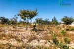 Mansa Land For Sale in Namwandwe Area K 145 000