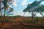 Chilanga 8 Hectares Farm Land for Sale K 3 200 000